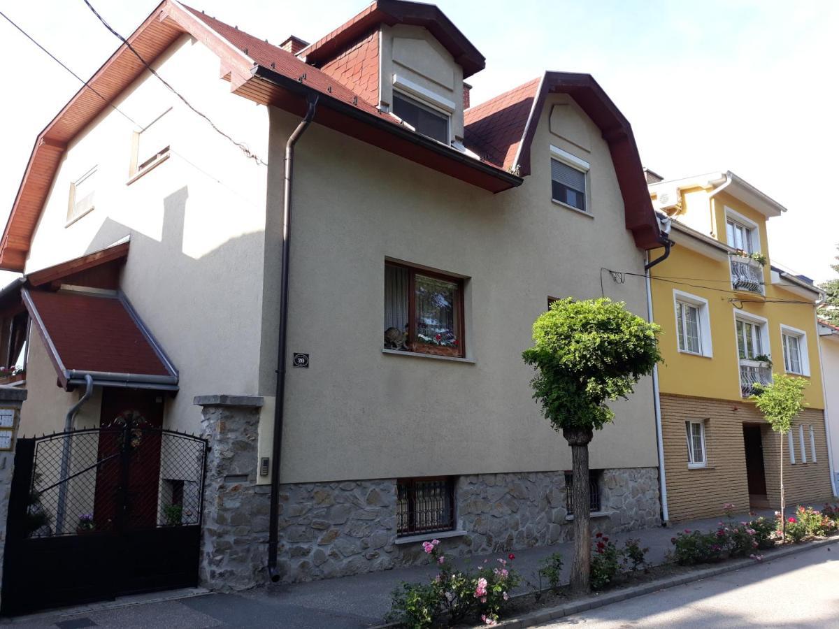 Flamingo Apartman Šoproň Exteriér fotografie